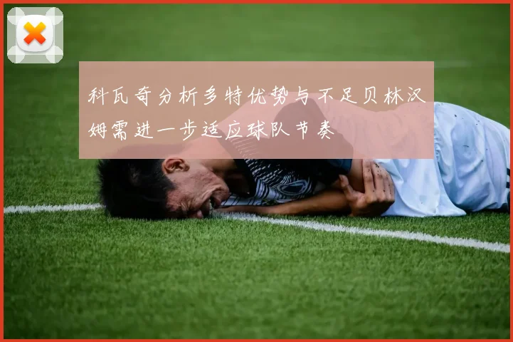 科瓦奇分析多特优势与不足贝林汉姆需进一步适应球队节奏