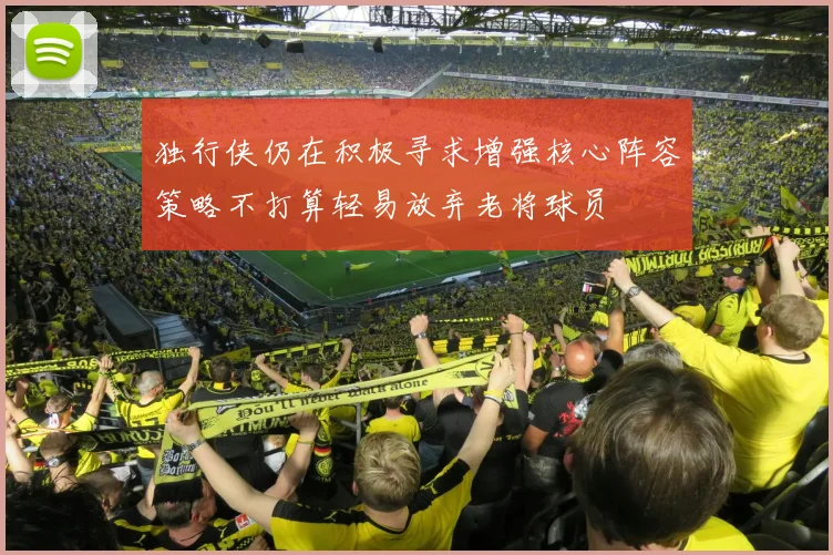 独行侠仍在积极寻求增强核心阵容策略不打算轻易放弃老将球员