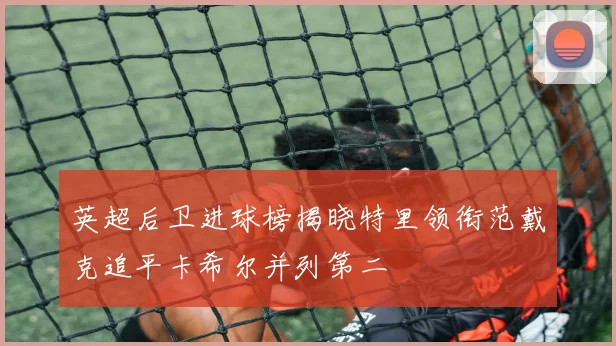 英超后卫进球榜揭晓特里领衔范戴克追平卡希尔并列第二