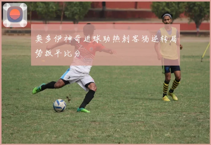 奥多伊神奇进球助热刺客场逆转局势扳平比分