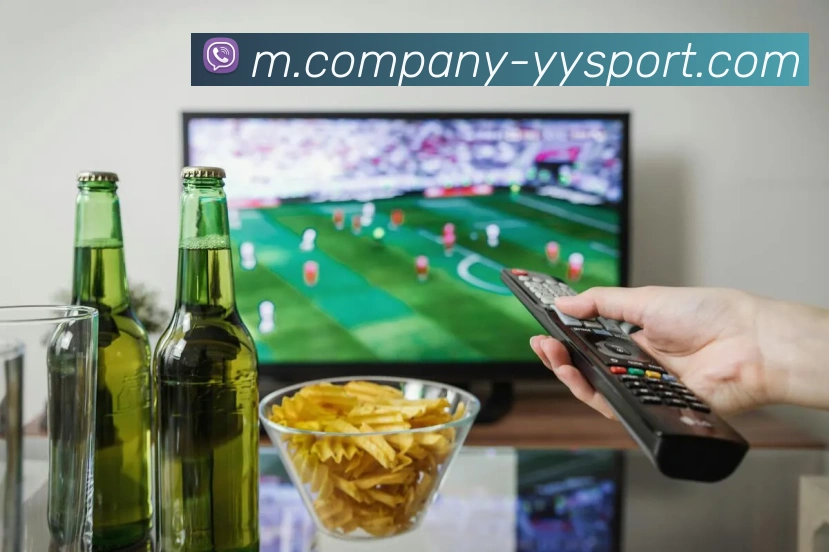 易游体育平台生态图